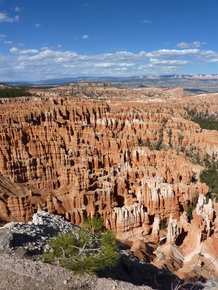 bryce canyon (192).JPG